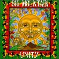 cover of Big Mountain - Unity