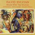 cover of Sylvian, David - Words With The Shaman