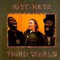 cover of Third World (featuring Steve Windwood) - Aiye-Keta
