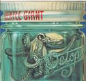 cover of Gentle Giant - Octopus