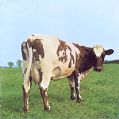 cover of Pink Floyd - Atom Heart Mother
