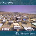 cover of Pink Floyd - A Momentary Lapse Of Reason