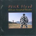 cover of Pink Floyd - The Delicate Sound Of Thunder