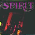cover of Spirit - Rapture in the Chambers