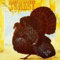 cover of Wild Turkey - Turkey