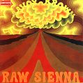 cover of Savoy Brown - Raw Sienna