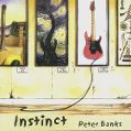 cover of Banks, Peter - Instinct