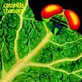 cover of Catapilla - Changes