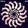 cover of Embryo - Opal