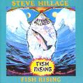 cover of Hillage, Steve - Fish Rising