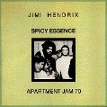 cover of Hendrix, Jimi - Spicy Essence: Appartement Jam 70