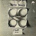 cover of Satin Whale - Desert Places