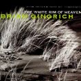 cover of Gingrich, Brian & David Torn - The White Rim Of Heaven