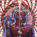 cover of Tool - Lateralus