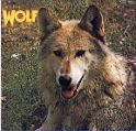 cover of Way's, Darryl Wolf - Canis Lupus