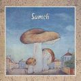 cover of Sameti - Sameti