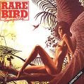 cover of Rare Bird - Sympathy