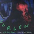 cover of Curlew - A Beautiful Western Saddle