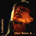 cover of Boine, Mari - Leahkastin (Unfolding)