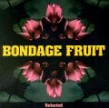 cover of Bondage Fruit - Selected