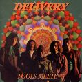 cover of Delivery - Fools Meeting
