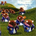 cover of Matching Mole - March