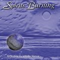 cover of Spirits Burning - Reflections In A Radio Shower