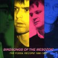 cover of Birdsongs of the Mesozoic - The Fossil Record 1980-1987