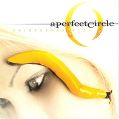 cover of Perfect Circle, A - Thirteenth Step
