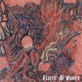 cover of Flute & Voice - Flute & Voice: Imaginations of Light / Hallo Rabbit