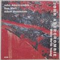 cover of Abercrombie, John with Dan Wall, Adam Nussbaum - While We're Young