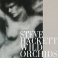cover of Hackett, Steve - Wild Orchids
