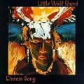 cover of Little Wolf Band - Dream Song