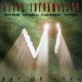 cover of Vital Information - Ray Of Hope