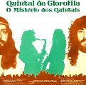 cover of Quintal De Clorofila - O Mistério dos Quintais