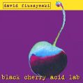 cover of Fiuczynski, David - Black Cherry Acid Lab