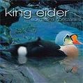 cover of King Eider - Somateria Spectabilis