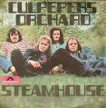 cover of Culpeper's Orchard - Steamhouse / Classified Ads (single)