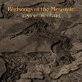 cover of Birdsongs of the Mesozoic - Dawn of the Cycads