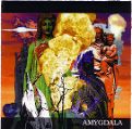 cover of Amygdala - Amygdala