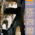 cover of Forever Einstein - Opportunity Crosses the Bridge