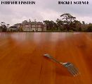 cover of Forever Einstein - Racket Science