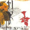 cover of Yeti - Volume, Obliteration, Transcendence
