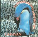 cover of Caravan - For Penguin Who Hatch in the Polar Night
