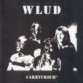 cover of Wlud - Carrycroch'