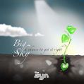 cover of Syn, The - Big Sky
