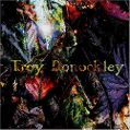 cover of Donockley, Troy - The Unseen Stream