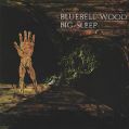 cover of Big Sleep - Bluebell Wood