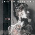 cover of Harrison, Gavin & 05Ric - Drop