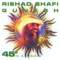 cover of Gunesh - Forty-Five Degrees in the Shade (45° В Тени)